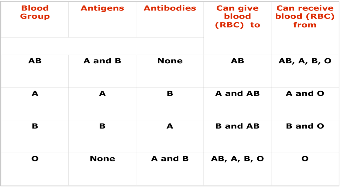 7-things-your-blood-type-can-tell-you-about-your-health-4-is-shocking