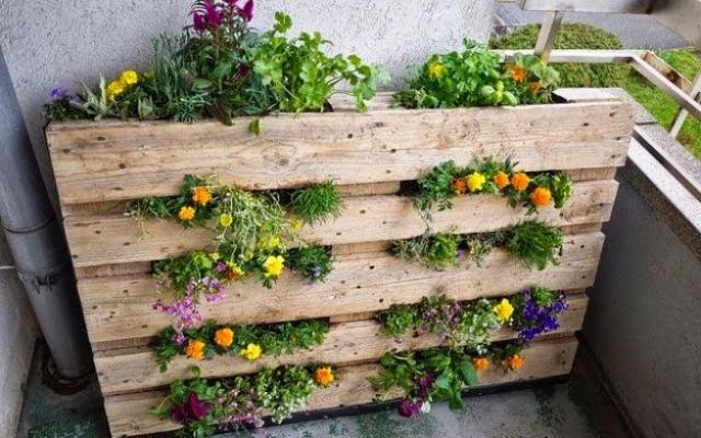 pallets garden