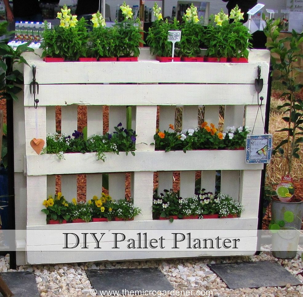 pallet planten